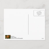 Beste Santa Send Money Feestdagenkaart (Achterkant)