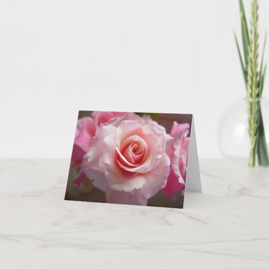 beste schoten 021 kaart (Voorkant)