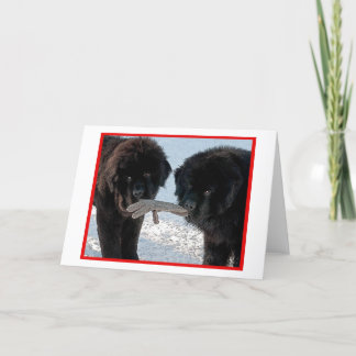 Beste seizoen….Blanco Feestdagen Kaart