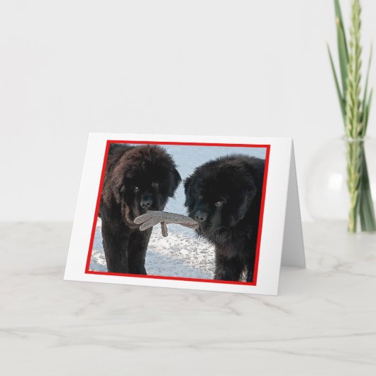 Beste seizoen….Blanco Feestdagen Kaart (Voorkant)