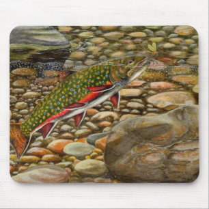 Beste Show 2004 Muismat