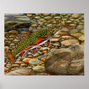 Beste Show 2004 Poster