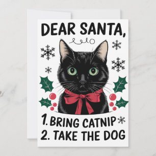 Beste Sinterklaas Breng Kattekruid Neem De Hond Me Kaart