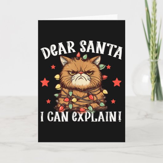 Beste Sinterklaas ik kan het uitleggen De kat deed Kaart (Voorkant)