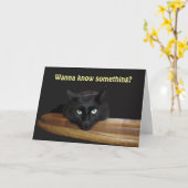 Beste Stepdad Vaderdag Kaart (Gele Bloem)