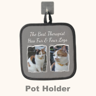 Beste therapeut heeft bont en vier benen 2 foto gr pannenlap