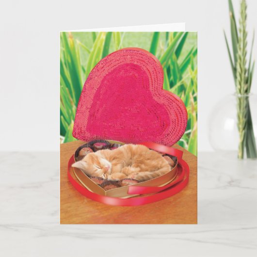 Beste van de Kaart van de Kat van de Valentijnsdag (Voorkant)