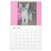 Beste verkoper! Abyssiniaanse kittens en Katten Ag Kalender (Mar 2026)