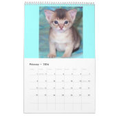 Beste verkoper! Abyssiniaanse kittens en Katten Ag Kalender (Feb 2026)