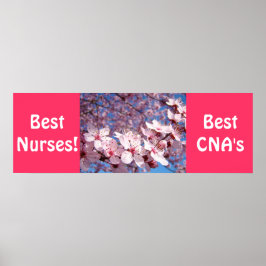 Beste verpleegsters posters Beste CNA's prints Ver