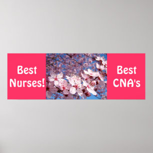 Beste verpleegsters posters Beste CNA's prints Ver
