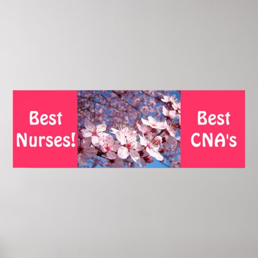 Beste verpleegsters posters Beste CNA's prints Ver (Voorkant)