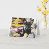 **BESTE VETERINARIAN OOIT**MAKKELIJKSE DAG KAART (Gele Bloem)