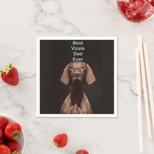 Beste Vizsla Vader Ooit Servet (Insitu)