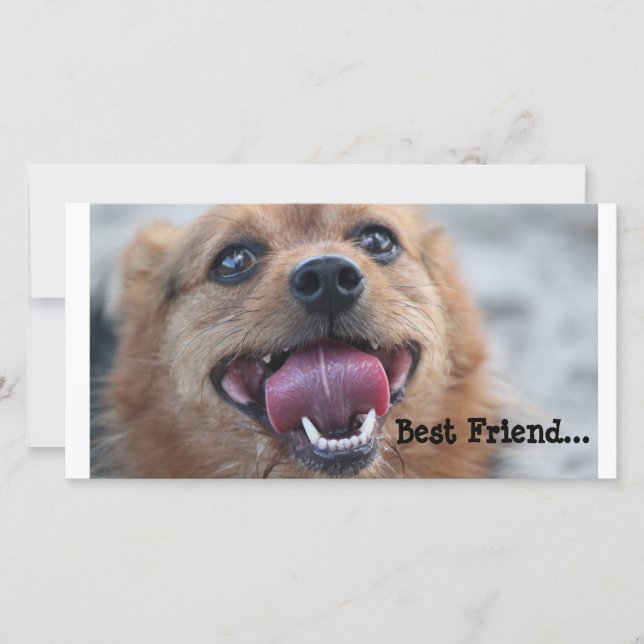 Beste vriend (Voorkant)