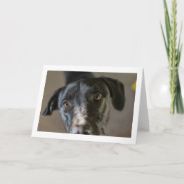 "Beste vriend" blanco gevouwen wenskaart Kaart