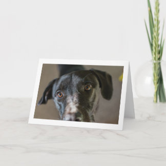 "Beste vriend" blanco gevouwen wenskaart Kaart