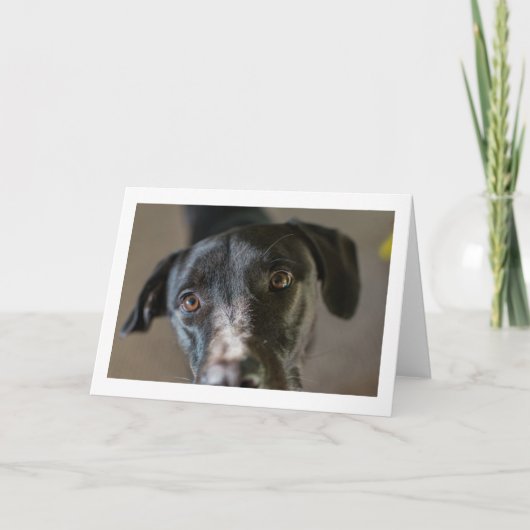 "Beste vriend" blanco gevouwen wenskaart Kaart (Voorkant)