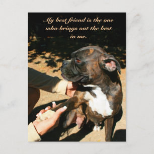 Beste vriend bokser briefkaart
