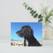 Beste vriend briefkaart (Staand voorkant)