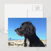 Beste vriend briefkaart (Voorkant / Achterkant)