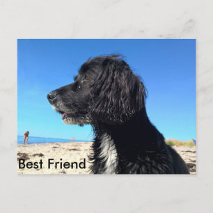 Beste vriend briefkaart