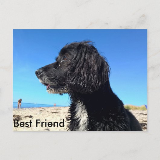 Beste vriend briefkaart (Voorkant)