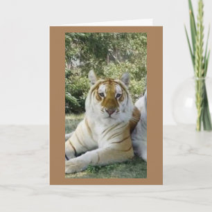 **BESTE VRIEND** ERNSTIGE BIRTHDAY WISHES KAART