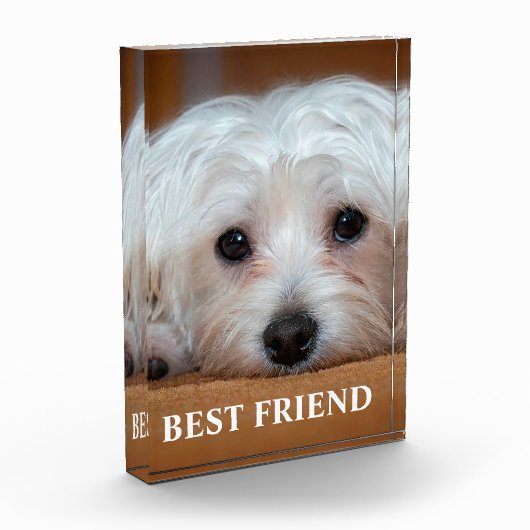 Beste Vriend Fotoblokken (Links)