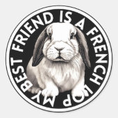Beste Vriend Frans Lop Konijn Ronde Sticker (Voorkant)