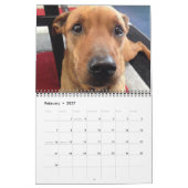 Beste vriend honden kalender! kalender (Feb 2027)