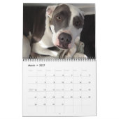 Beste vriend honden kalender! kalender (Mar 2027)