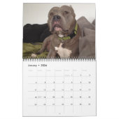 Beste vriend honden kalender! kalender (Jan 2026)