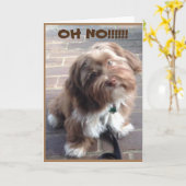 "BESTE VRIEND" IS SICK-GET GOED SNEL KAART (Gele Bloem)