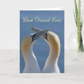 Beste vriend ooit super vriend foto kaart (Voorkant)