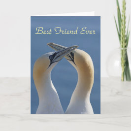 Beste vriend ooit super vriend foto kaart