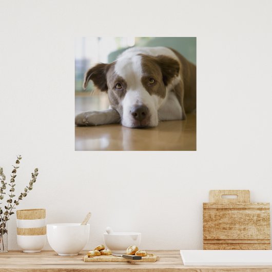 Beste vriend poster (Keuken)