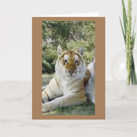 **BESTE VRIEND** SERIEUZE VERJAARDAG WENSEN KAART (Voorkant)