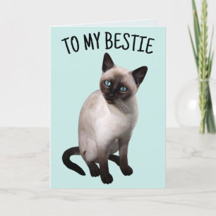 BESTE VRIEND SIAMESE KAT VERJAARDAG WENSKAART KAART