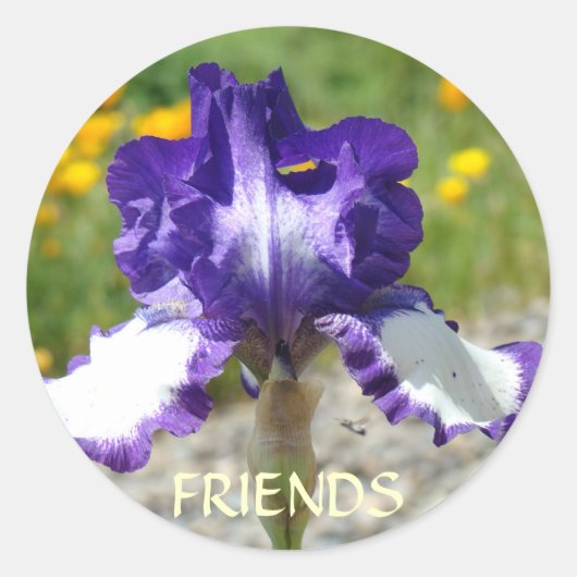BESTE VRIEND STICKERS Paarse Iris Bloemen Cadeaus (Voorkant)