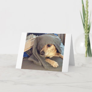 BESTE VRIEND van de dierenschuilplaats is een groe Kaart