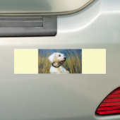 Beste vriend van een Man Bumpersticker (Op auto)