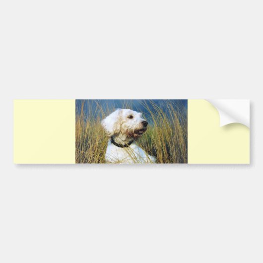 Beste vriend van een Man Bumpersticker (Voorkant)
