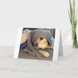 Beste vriend van het dierenasiel is een groet kaart