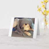 Beste vriend van het dierenasiel is een groet kaart (Gele Bloem)