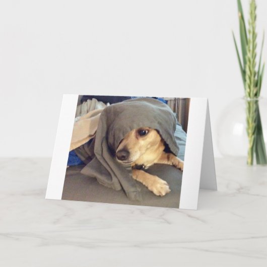 Beste vriend van het dierenasiel is een groet kaart (Voorkant)