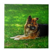 Beste vriend van man #1 tegeltje (Voorkant)