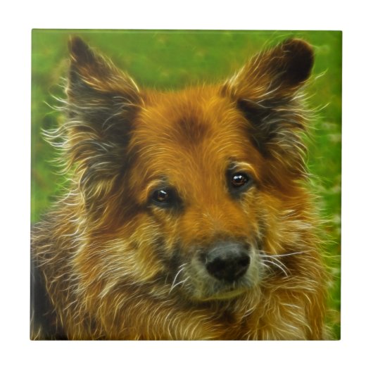 Beste vriend van man #2 tegeltje (Voorkant)