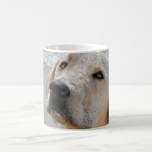 Beste vriend van man koffiemok (Center)