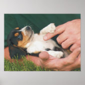 Beste vriend van man poster (Voorkant)